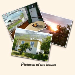 Pictures of the hause
